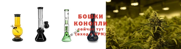 ПСИЛОЦИБИНОВЫЕ ГРИБЫ Карпинск